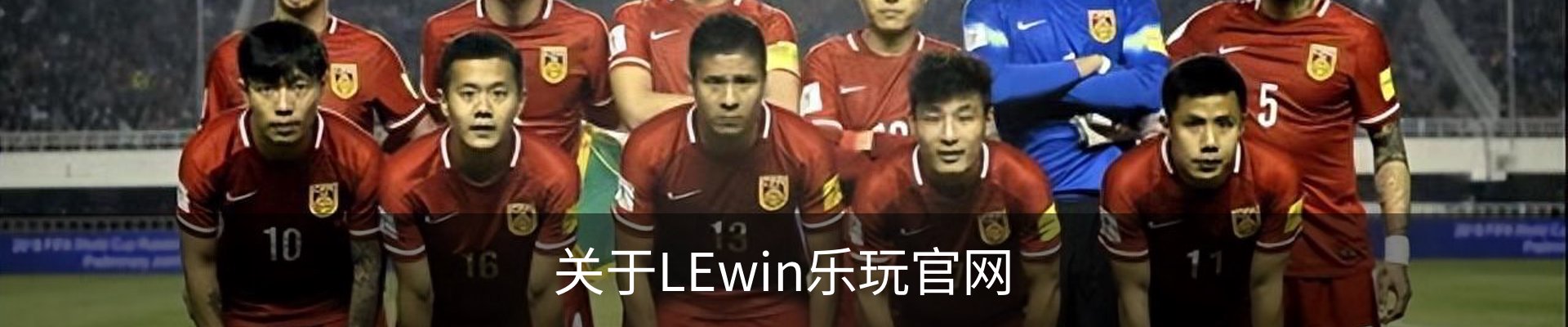 关于LEwin乐玩官网